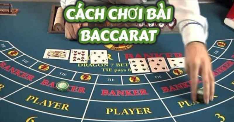 Cách đặt cược Baccarat