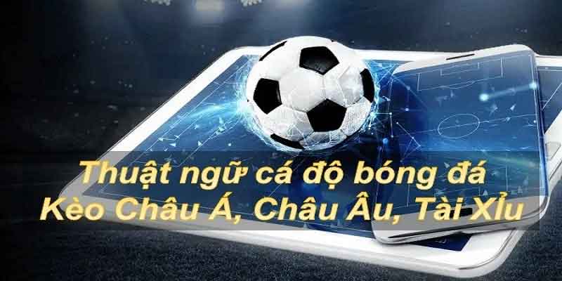 Thuật ngữ cá độ bóng đá